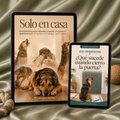 Solo en casa + Bonus